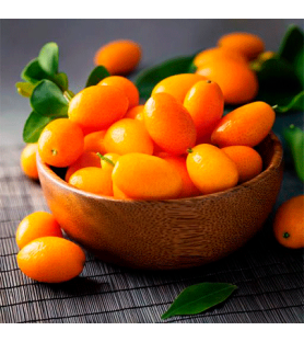 Kumquat Natural flavour Oilsoluble